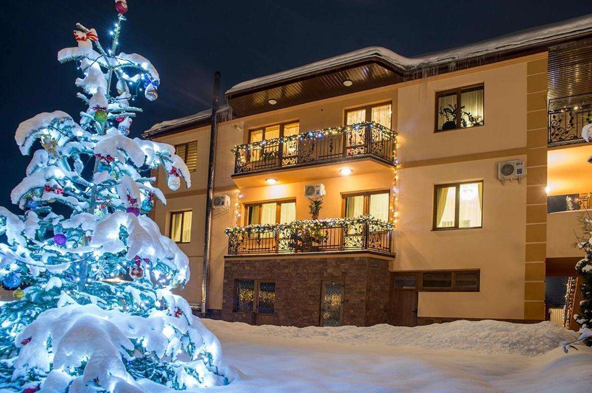 Apartament Adele Mizhhirya  Zewnętrze zdjęcie